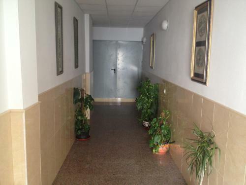 Apartamentos Sol Andaluz