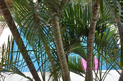 Tu Casa B&B Cozumel