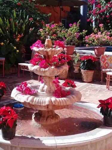 Bed & Breakfast Casa Las 7 Columnas