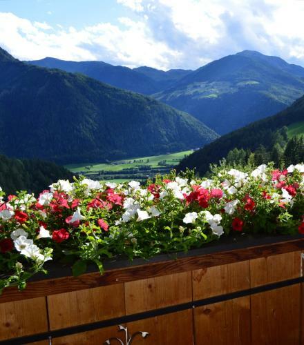 Apartamento Martlerhof Urlaub Auf Dem Bauernhof