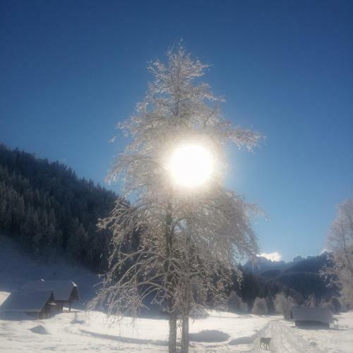 Apartamento Huatscher