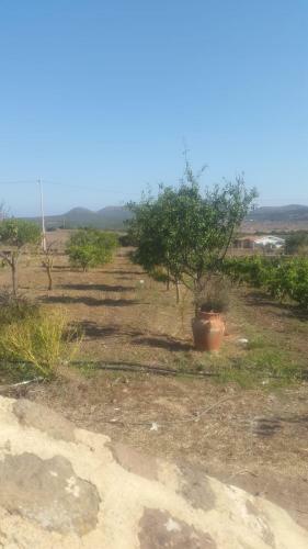 Casa In Pietra