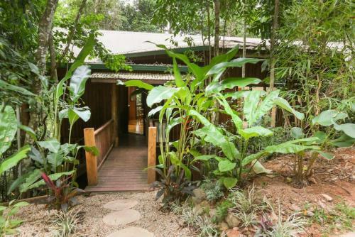 Neverland - The Stoney Creek Treehouse