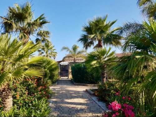 Villa Camelie