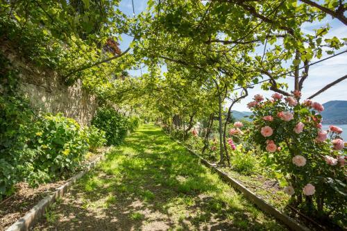 Apartamento Villa Paradiso
