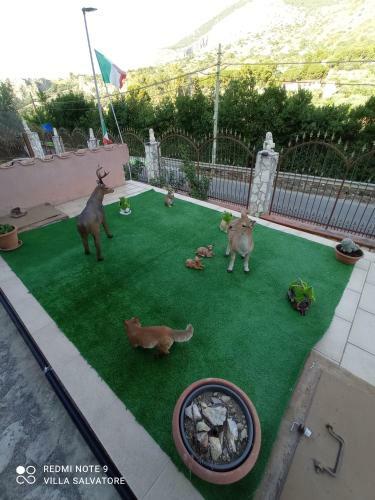 Hostal Villa Salvatore