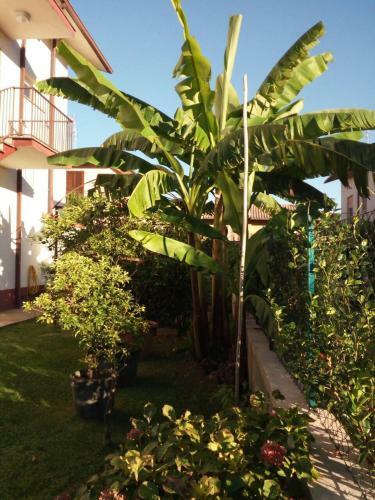 Apartamento Etrusco Antico