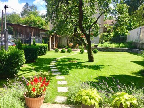 Apartment Provence