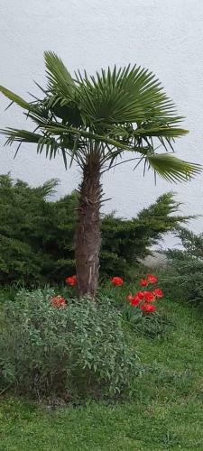 Bed & Breakfast Les Eygleti�res