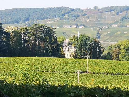 Le Temps D Une Pause � Boursault
