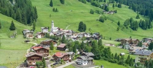 Luxury Apartments Chalet Orchidea