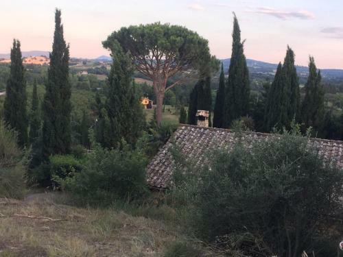 Bed & Breakfast Casale Sant'elia
