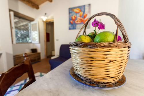 Agroturismo Agricontura