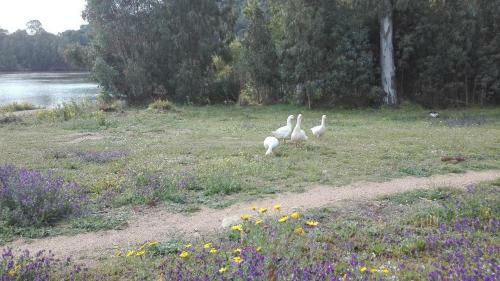 B&B Il Melograno