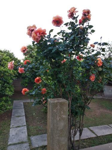Bed & Breakfast Villa Anna