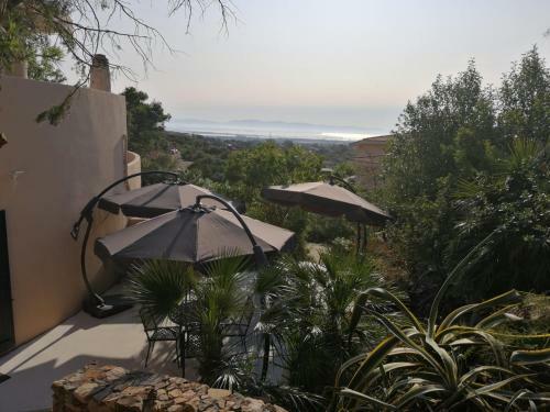 Bed & Breakfast Villa Zola