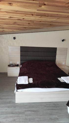 Hostal ????? Alex
