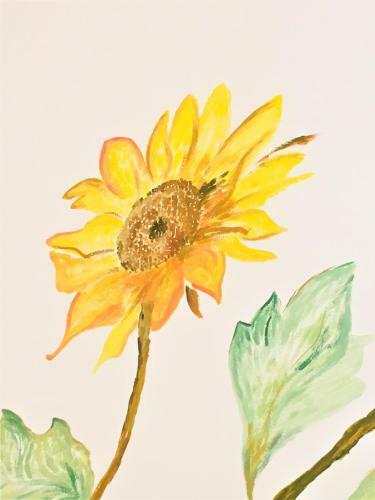 Apartamento Il Girasole