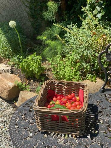 Dolce Vita In Tuscany Cottage