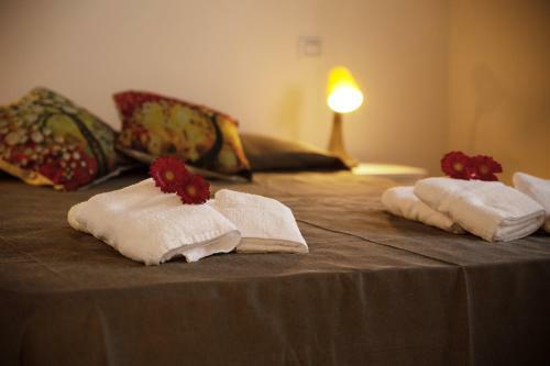 Hostal Casa Brigante Luxury With Pool