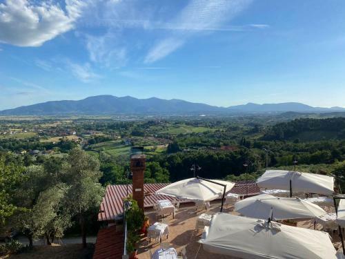 B&B Alloro