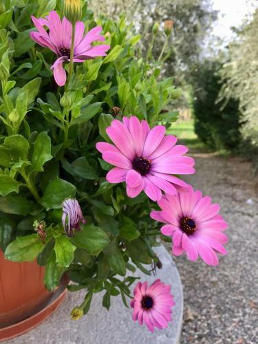 B&B Alloro