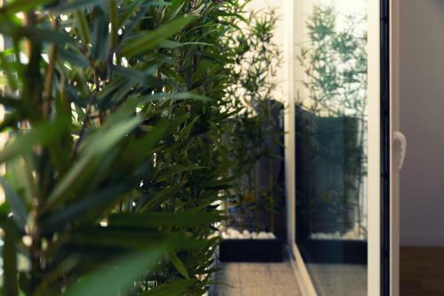 Onda Apartments