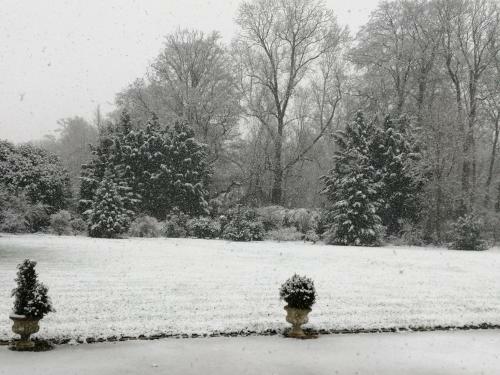 Le Domaine Des Jardins de Bracquetuit