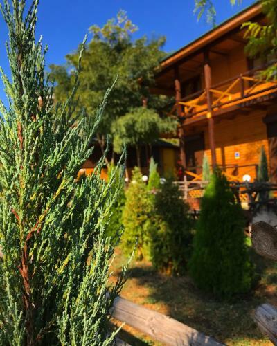 Posada Hotel Comfort