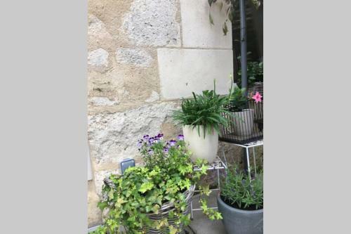 Apartamento La Petite Brainoise