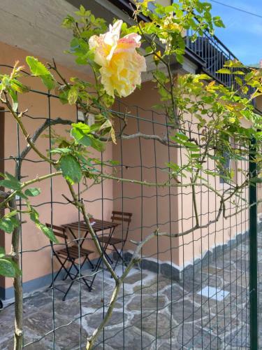 Apartamento Azalea Appartamenti