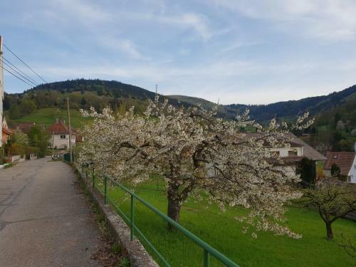 Apartamento Petit Week End Dans La Vall�e
