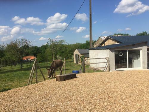 Camping de La Ferme Aux �nesses, Mobil Home Sofia2
