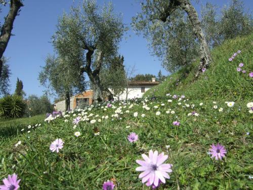 Bed & Breakfast Podere Sanlorenzo
