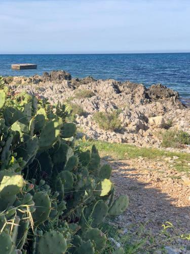 Apartamento La Terrazza Di Don Tot�