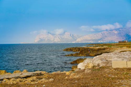 Airport Sicily Home Palermo