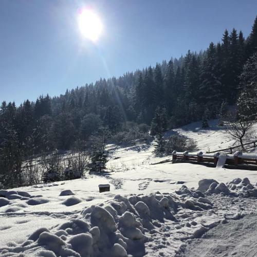 Hostal Sadyba Na Gutsulsky Polonyni