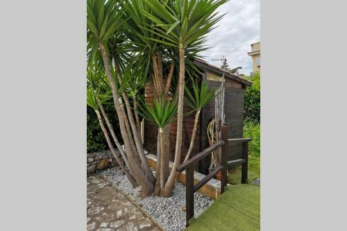 Villa Carmela 300mt Dal Mare