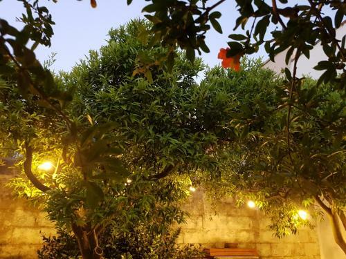 Casa Vacanze Nonna Maria
