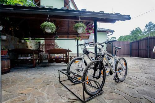 Hostal Synyogora