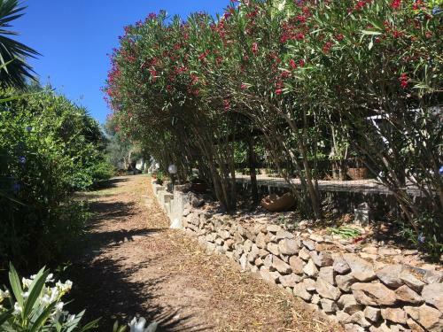 Bed & Breakfast Garden Rooms