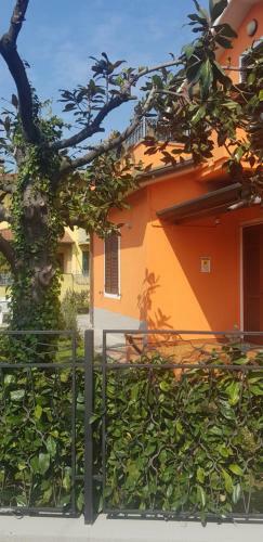 Hostal New Life