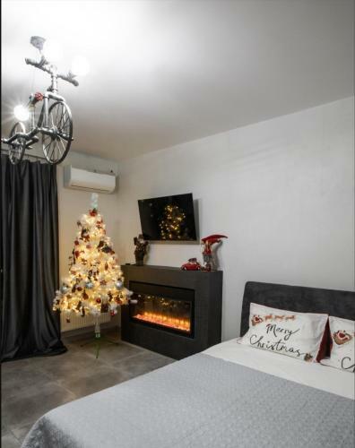 Reef Terrace Apartments