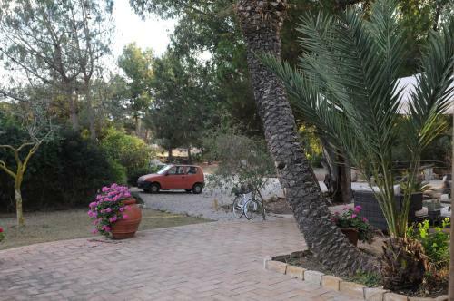 Villa Con Piscina A Carloforte