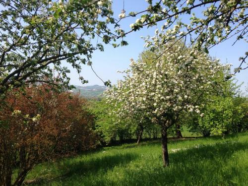 Apartamento Casale Del Monte