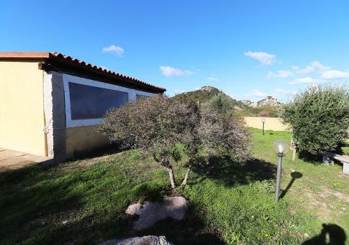 Apartamento Residenza Susini