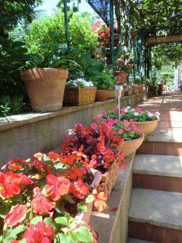 Villa Dei Fiori B&B