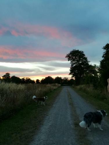 Bed & Breakfast Chez Pastuso