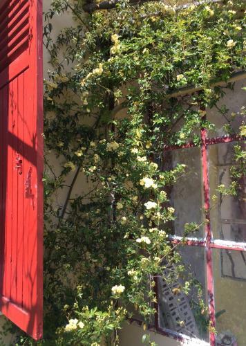 Apartamento Le Petit 45 Sous Les Platanes