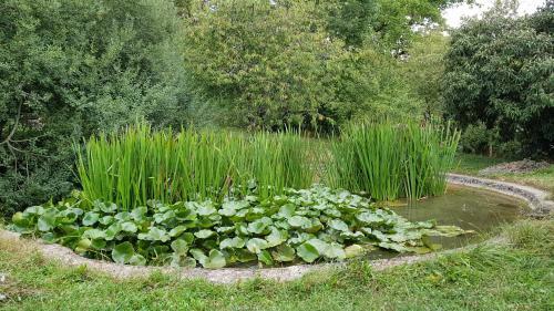 Hostal Le Clos Darwin - Chambres D'h�tes